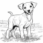 Authentic Farm Dog Coloring Pages 1