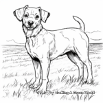 Authentic Farm Dog Coloring Pages 3