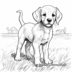 Authentic Farm Dog Coloring Pages 4