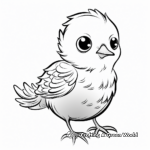 Baby Bird Coloring Pages for Kids 4