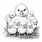 Baby Chicks on the Farm Coloring Pages 2