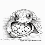 Baby Sea Turtle Hatching Coloring Pages 2