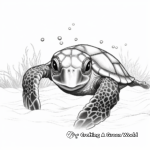 Baby Sea Turtle Hatching Coloring Pages 4