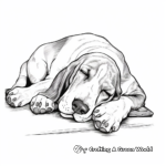 Basset Hound Nap Time Coloring Pages 1