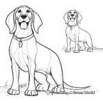 Basset Hound vs Beagle: Comparison Coloring Pages 2
