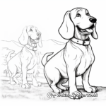 Basset Hound vs Beagle: Comparison Coloring Pages 4