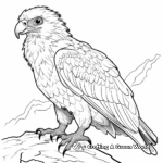 Bearded Vulture Coloring Pages for Bird Lovers 1