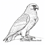 Bearded Vulture Coloring Pages for Bird Lovers 4