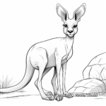 Beautiful Antilopine Kangaroo Coloring Pages 3