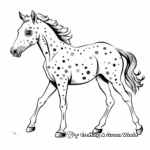Beautiful Appaloosa Horse Coloring Pages 1