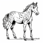 Beautiful Appaloosa Horse Coloring Pages 3