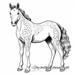 Beautiful Appaloosa Horse Coloring Pages 4