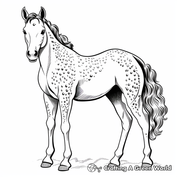 Appaloosa Coloring Pages - Free & Printable!