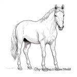 Beautiful Arabian Mare Coloring Pages 1