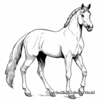 Beautiful Arabian Mare Coloring Pages 2