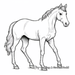Beautiful Arabian Mare Coloring Pages 4