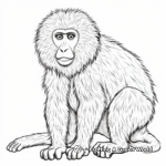 Beautiful Baboon in the Wild Coloring Pages 1