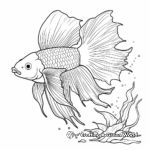 Beautiful Betta Fish Coloring Pages 3