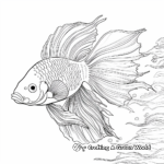 Beautiful Betta Fish Coloring Pages 4