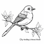 Beautiful Bird Coloring Pages 2