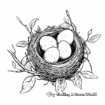 Beautiful Bird Nest with Eggs Coloring Pages 3