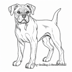 Beautiful Boxer Dog Coloring Pages for Adults 1