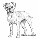 Beautiful Boxer Dog Coloring Pages for Adults 2