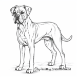 Beautiful Boxer Dog Coloring Pages for Adults 3
