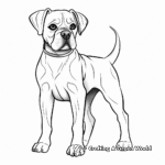 Beautiful Boxer Dog Coloring Pages for Adults 4