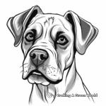 Beautiful Boxer Dog Head Coloring Pages 3