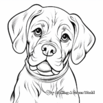 Beautiful Boxer Dog Head Coloring Pages 4