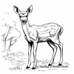 Beautiful Deer Coloring Pages 2