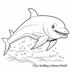Beautiful Dolphin Coloring Pages 1