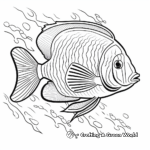 Beautiful Emperor Angelfish Coloring Pages 1
