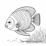 Beautiful Emperor Angelfish Coloring Pages 4