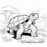 Beautiful Galapagos Giant Tortoise Coloring Pages 3