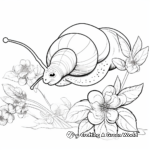 Beautiful Garden Snail Coloring Pages 1