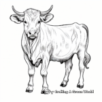 Beautiful Gyr Cow Coloring Sheets 1