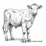 Beautiful Gyr Cow Coloring Sheets 2