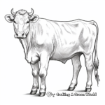 Beautiful Gyr Cow Coloring Sheets 4