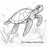Beautiful Ocean Life: Sea Turtle Coloring Pages 3