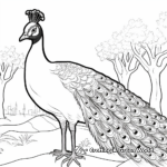 Beautiful Peacock Zoo Coloring Pages 2