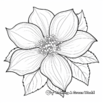 Beautiful Poinsettia Flower Coloring Pages 1