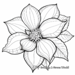 Beautiful Poinsettia Flower Coloring Pages 2