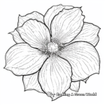 Beautiful Poinsettia Flower Coloring Pages 3
