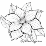 Beautiful Poinsettia Flower Coloring Pages 4