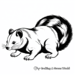 Beautiful Spotted Skunk Coloring Pages 2
