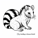 Beautiful Spotted Skunk Coloring Pages 4