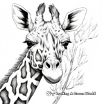 Beautifully Detailed Giraffe Head Coloring Pages 3