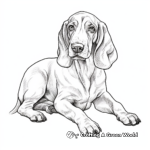 Beloved Pet Basset Hound Coloring Pages 4